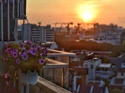 Grosvenor View (D14), Condominium #556846781